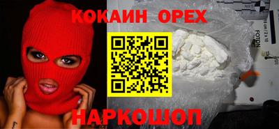 шишки Дубна