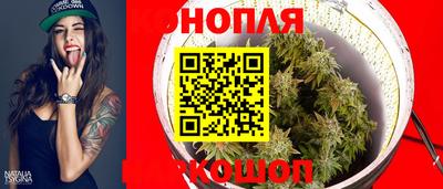 шишки Дубна