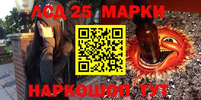 шишки Дубна