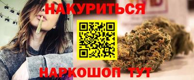 шишки Дубна