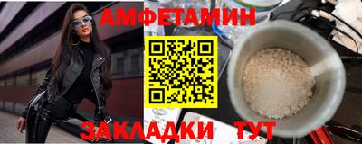 шишки Дубна