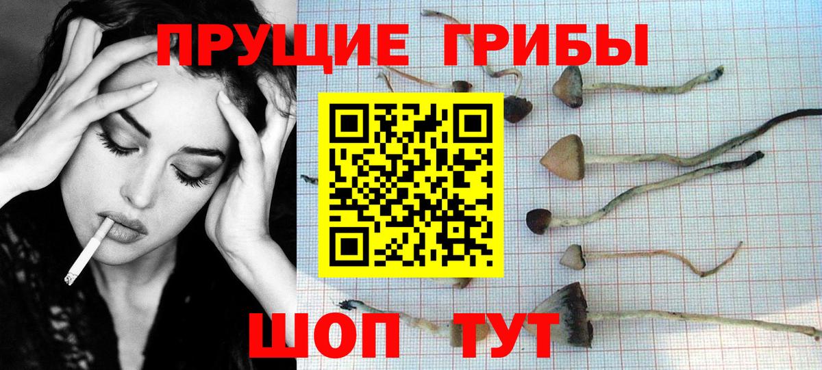 Псилоцибиновые грибы прущие грибы  Галлюциногенные грибы Magic Shrooms  Вход с VPN  Можайск 