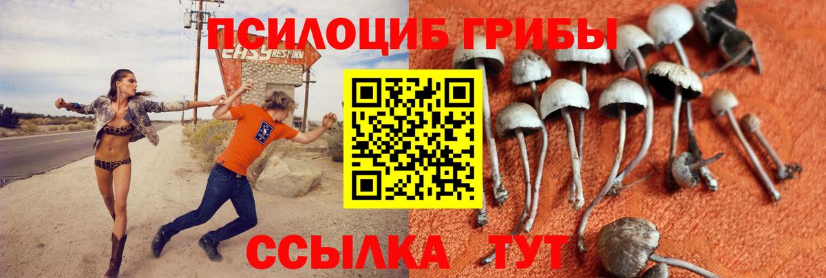 Галлюциногенные грибы MAGIC MUSHROOMS Можайск